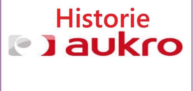 aukro-historie